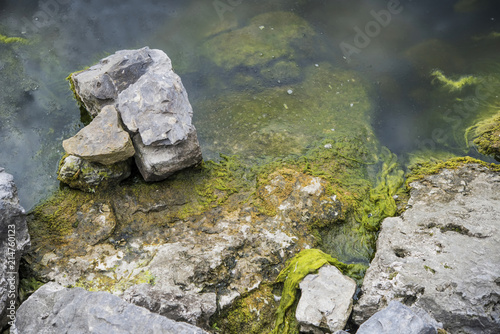 stones in a river overgrown with moss