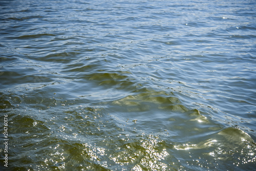 the waves of the river from the wind