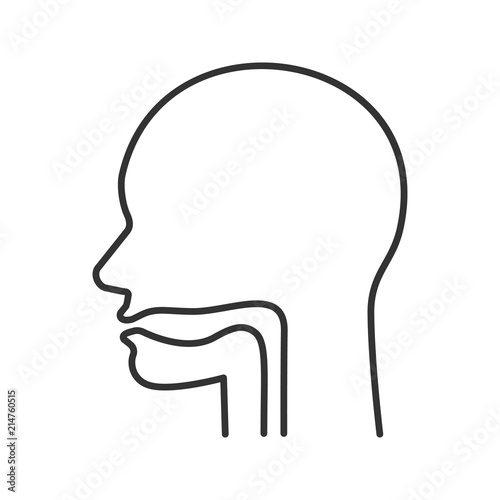 Oral cavity, pharynx and esophagus linear icon