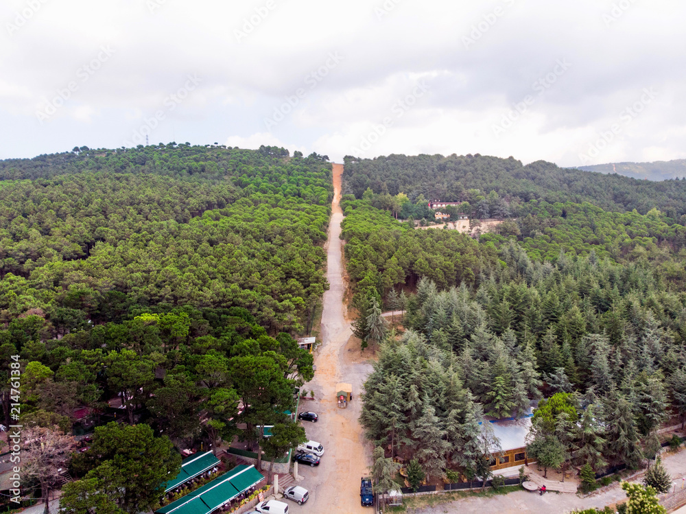 Fototapeta premium Aerial Drone View of Ugur Mumcu Aydos Forest in Istanbul / Kartal