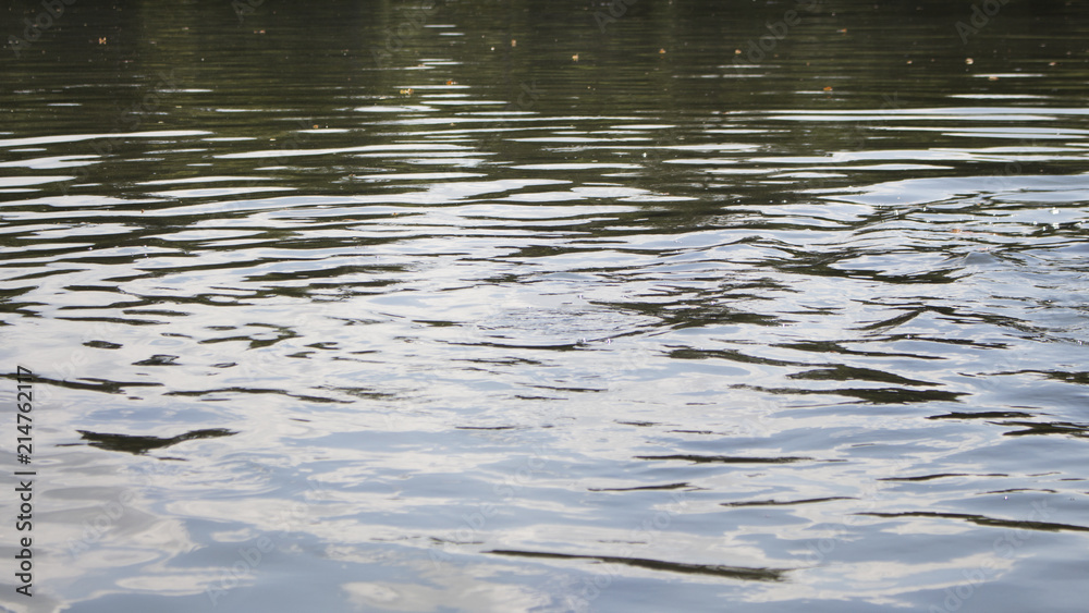 Wavy Water Surface At The Lake Background