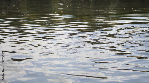 Wavy Water Surface At The Lake Background