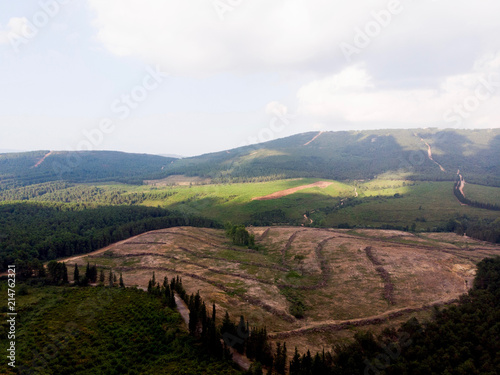 Aerial Drone View of Aydos Forest Landscape with Trees, Hills and Sunset in Istanbul / Kartal photo