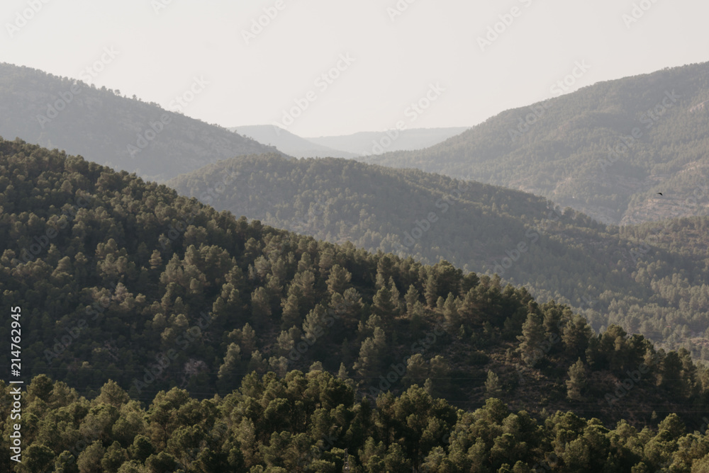 A lot of beautiful hills covered with forest in the evening in Spain