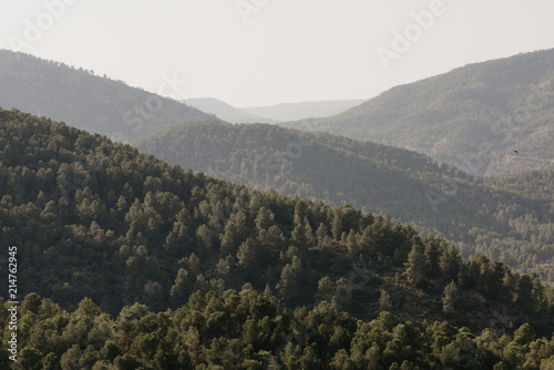 Obraz na płótnie A lot of beautiful hills covered with forest in the evening in Spain w salonie