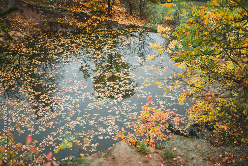 Idillic autumn landscape of park, lawn, yellow trees and lake Idillic autumn landscape of park, lawn, yellow trees and lake