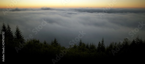 Scenic Foggy Landscape