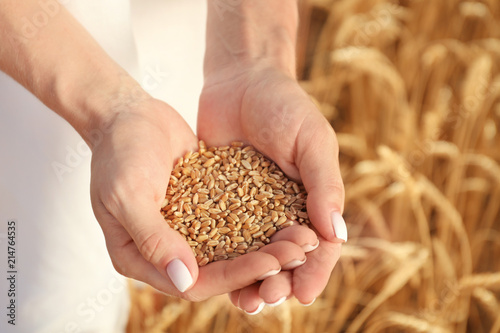 Beautiful woman holding wheat grain in field on sunny day, closeup © Pixel-Shot