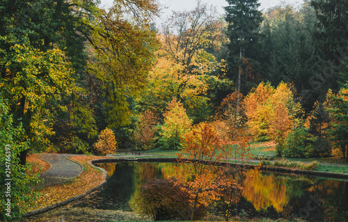 Fototapeta Naklejka Na Ścianę i Meble -  Idillic autumn landscape of park, lawn, yellow trees and lake