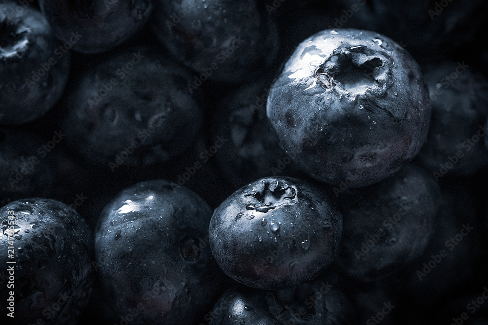 Wet fresh Blueberry background. Studio macro shot Wet fresh Blueberry background. Studio macro shot
