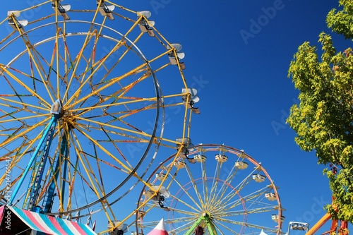 Two ferris wheels with blue sky background and tree to one side