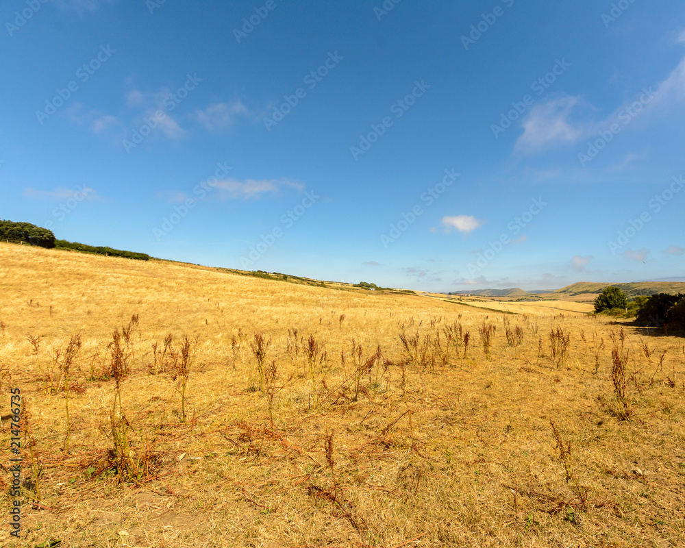 Fields in Dorset D, Dorset Landscape Summer 2018