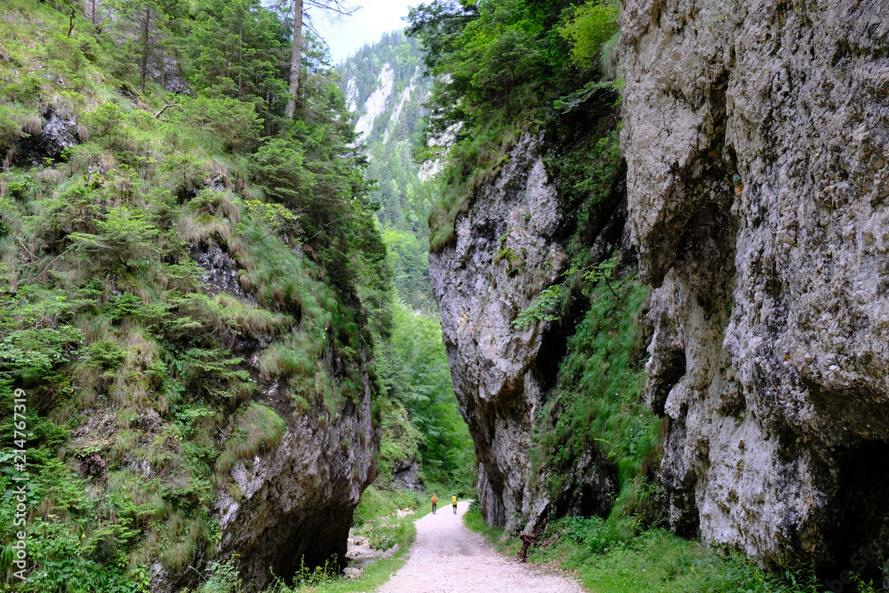 Rumunia, Karpaty Rumuńskie - góry, wysokie skalne ściany Wąwózu Zarnesti