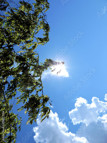 sky