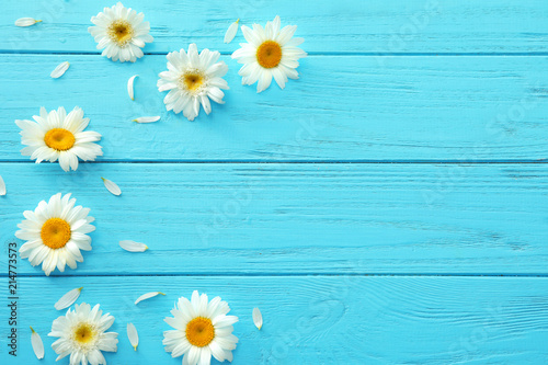 Beautiful chamomile flowers on wooden background © Pixel-Shot
