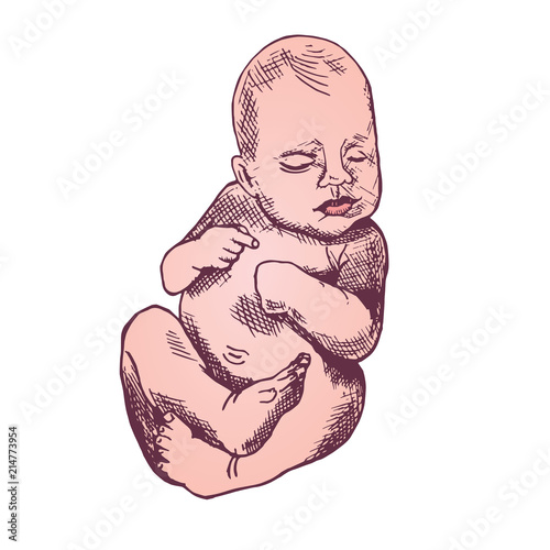 Baby, hand drawn doodle, sketch, vector color illustration