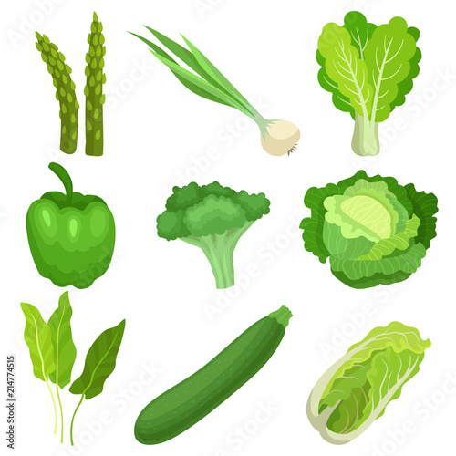 Flat vector set of fresh green garden vegetables. Ingredients for vegetarian salad. Natural and healthy food. Organic farm products