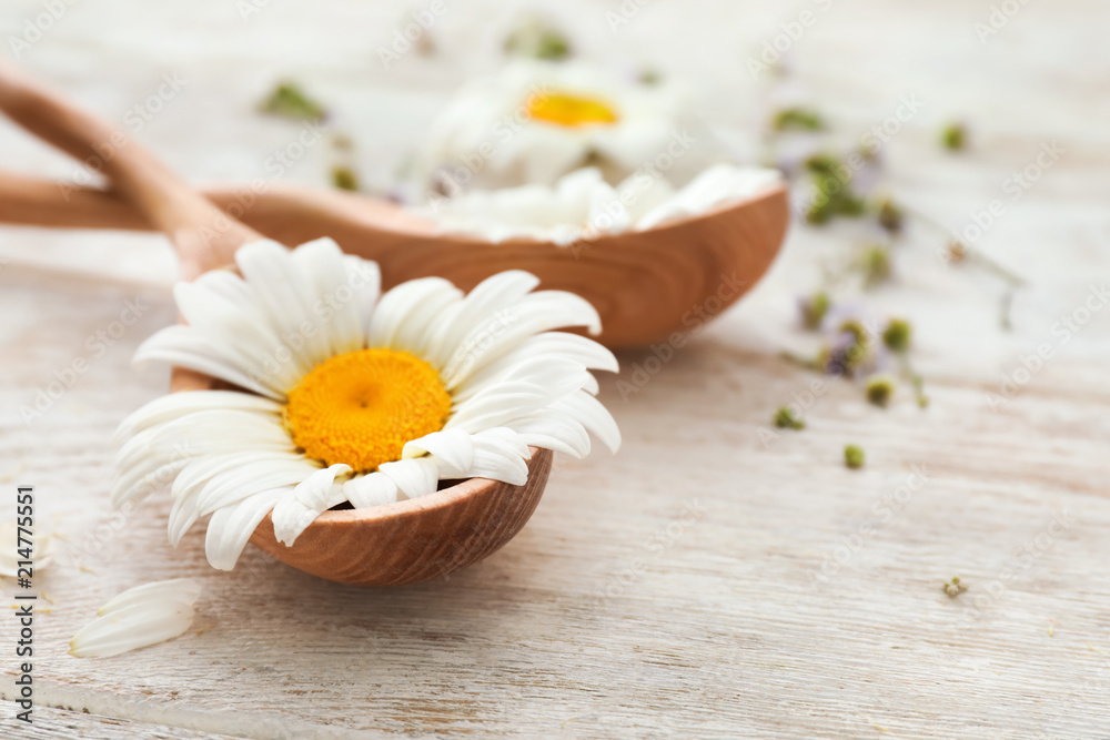 Spoon with beautiful chamomile flower on wooden background