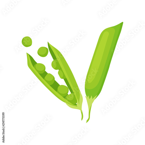 Two pods of green pea. Natural and healthy food. Organic vegetable. Vegetarian nutrition. Fresh cooking ingredient. Flat vector icon