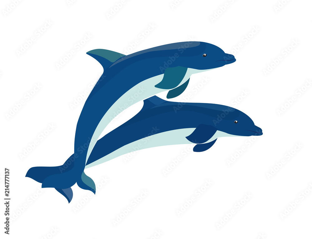 Fototapeta premium Two blue dolphins jumps. Vector isolated illustration on white background.