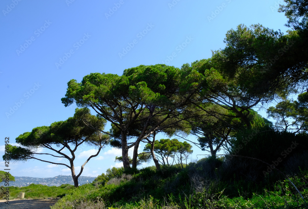 the islands of lerins off the coast of cannes the islands of lerins off the coast of cannes