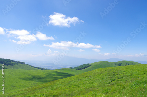 夏の霧ヶ峰高原