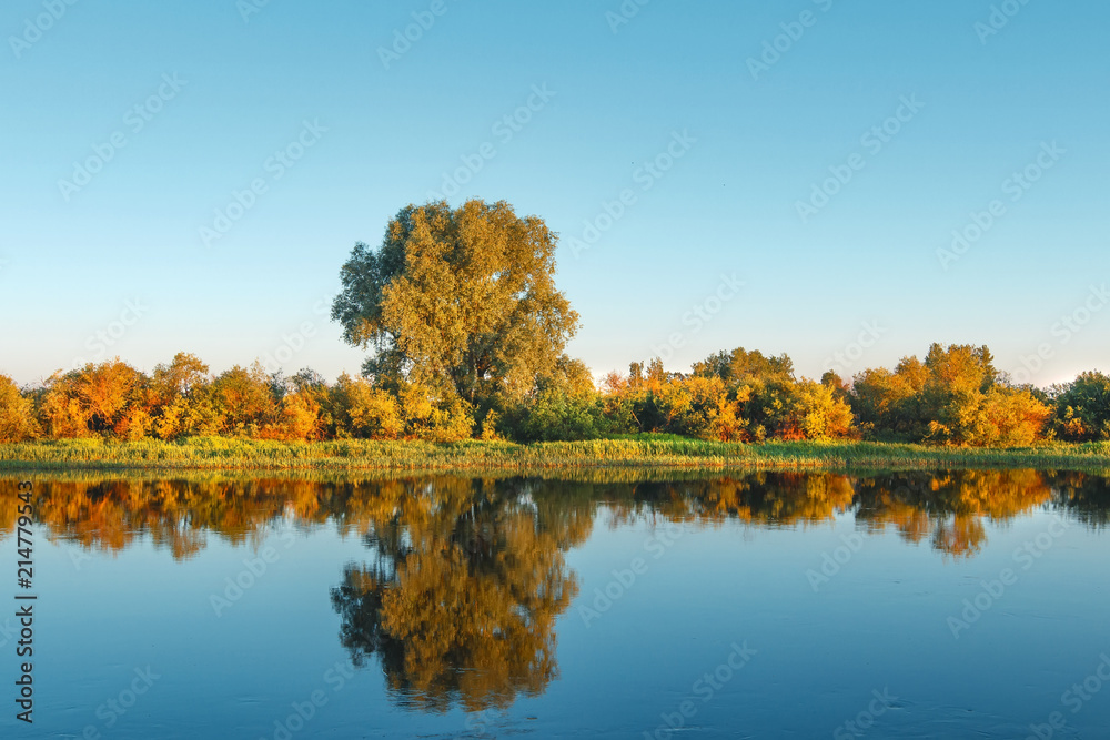 Autumn landscape of yellow trees and grass on river shore in clear morning. Trees and vegetation on bank of river are reflected in surface of water. Fall. colorful colors of autumn in October nature. Autumn landscape of yellow trees and grass on river shore in clear morning. Trees and vegetation on bank of river are reflected in surface of water. Fall. colorful colors of autumn in October nature.