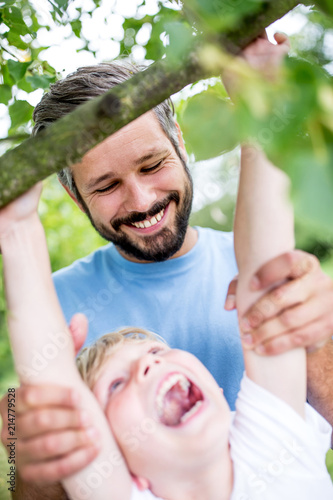 Junge klettert in einem Baum