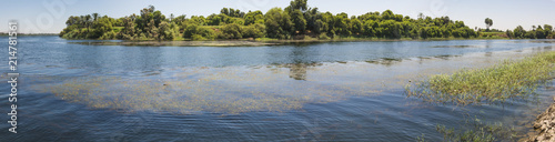 Fotografía View of river nile in Egypt with island and grass reeds