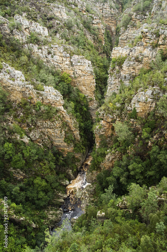 Ravine, Garden Route, South Africa