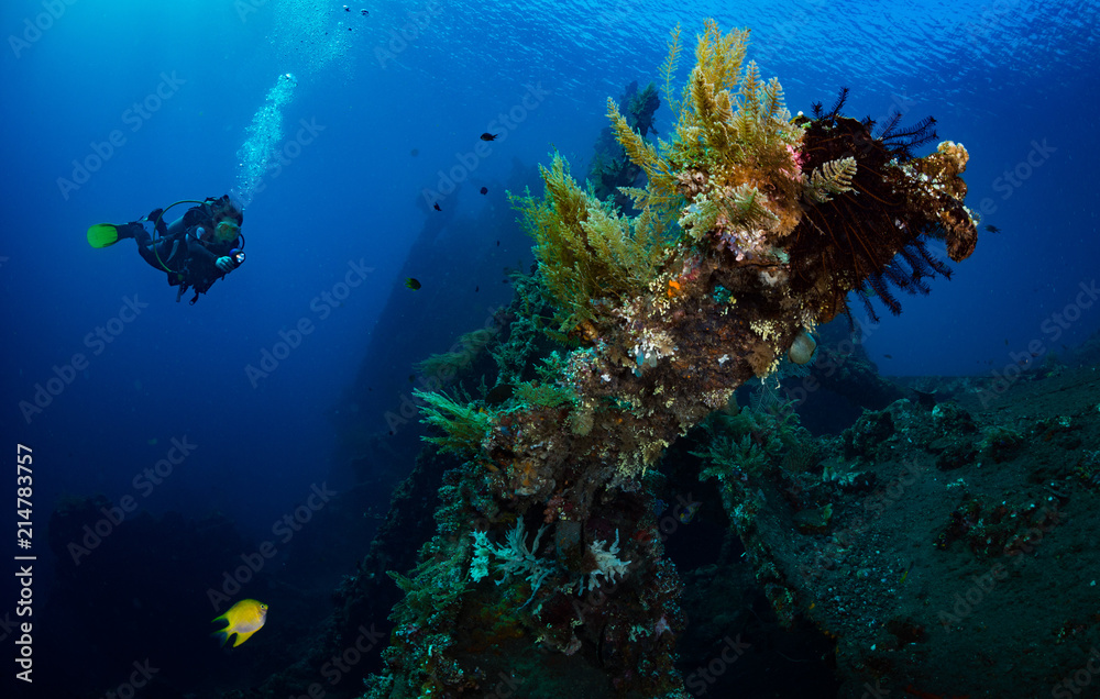 Fototapeta premium Woman diver on the wreck of the USS Liberty, Tulamben, Bali, Indonesia