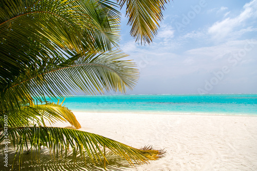 Tropischer Strand auf den Malediven 