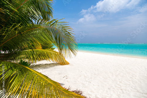 Tropischer Strand auf den Malediven 