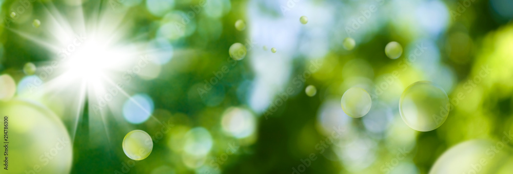 Obraz premium abstract blurry background close up