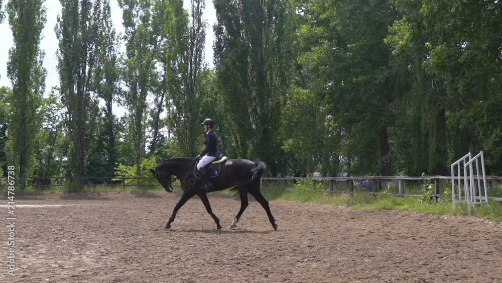 a young jockey girl jumping on a horse in a circle. Sunny day and drizzle. Slow motion HD a young jockey girl jumping on a horse in a circle. Sunny day and drizzle. Slow motion HD