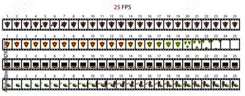 Icons animation symbolizes protection. Animation of the abstract shield on different topics.