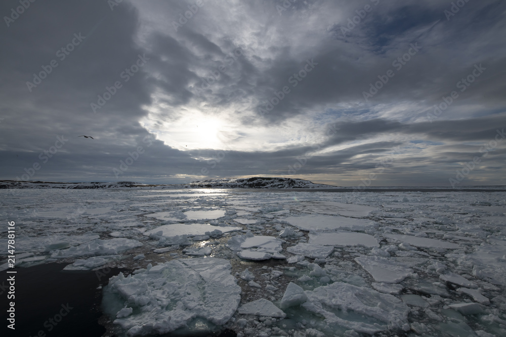 Franz-Josef Land landscape