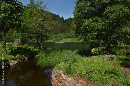 Sankenbachsee beim Baiersbronner Sankenbachsteig im Schwarzwald; Genießerpfad;