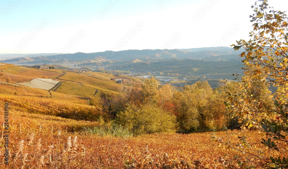 autunno nelle langhe - Barolo