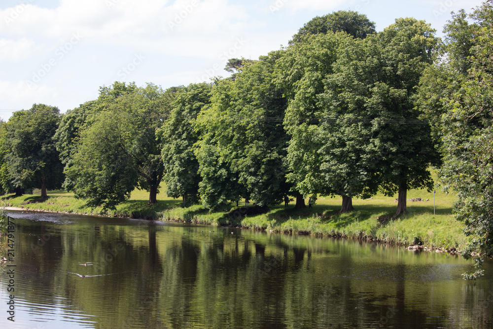 Yorkshire river in Summer