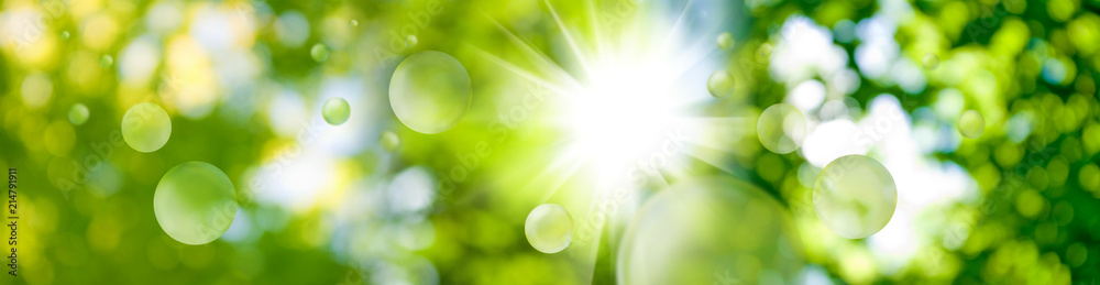 Fototapeta premium abstract blurry background close up