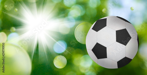 soccer ball on a green background