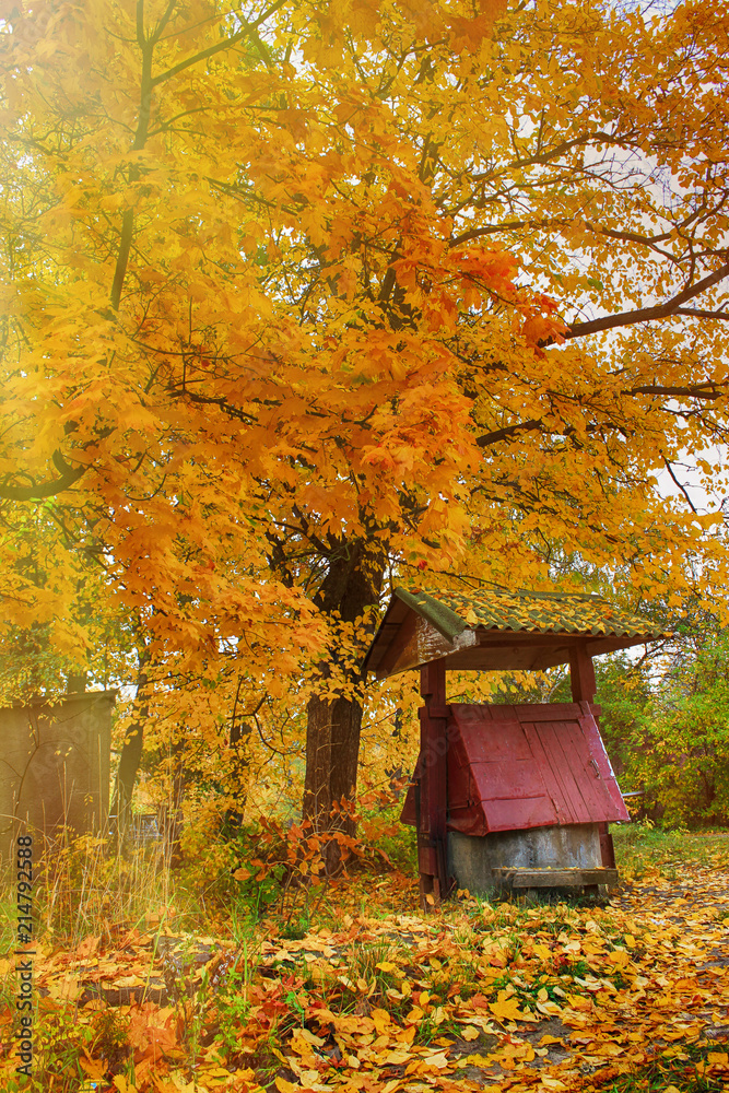 Autumn concept with old well under yellow oak tree Autumn concept with old well under yellow oak tree
