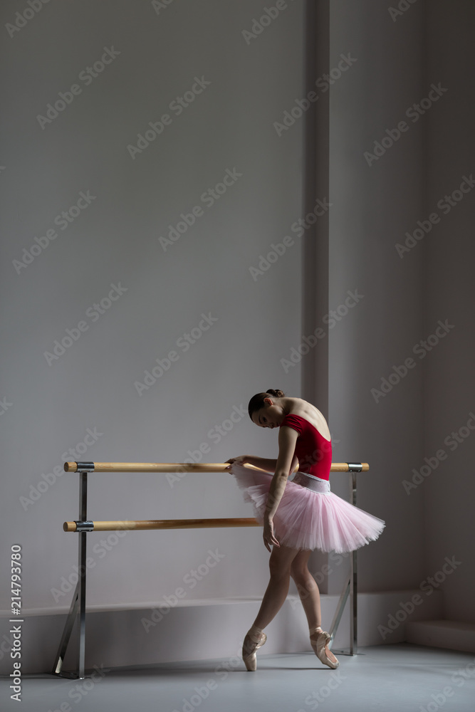 Beautiful ballerina training in the class Beautiful ballerina training in the class