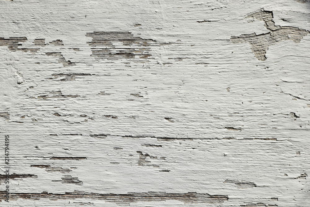 White wooden texture. - obrazy, fototapety, plakaty 