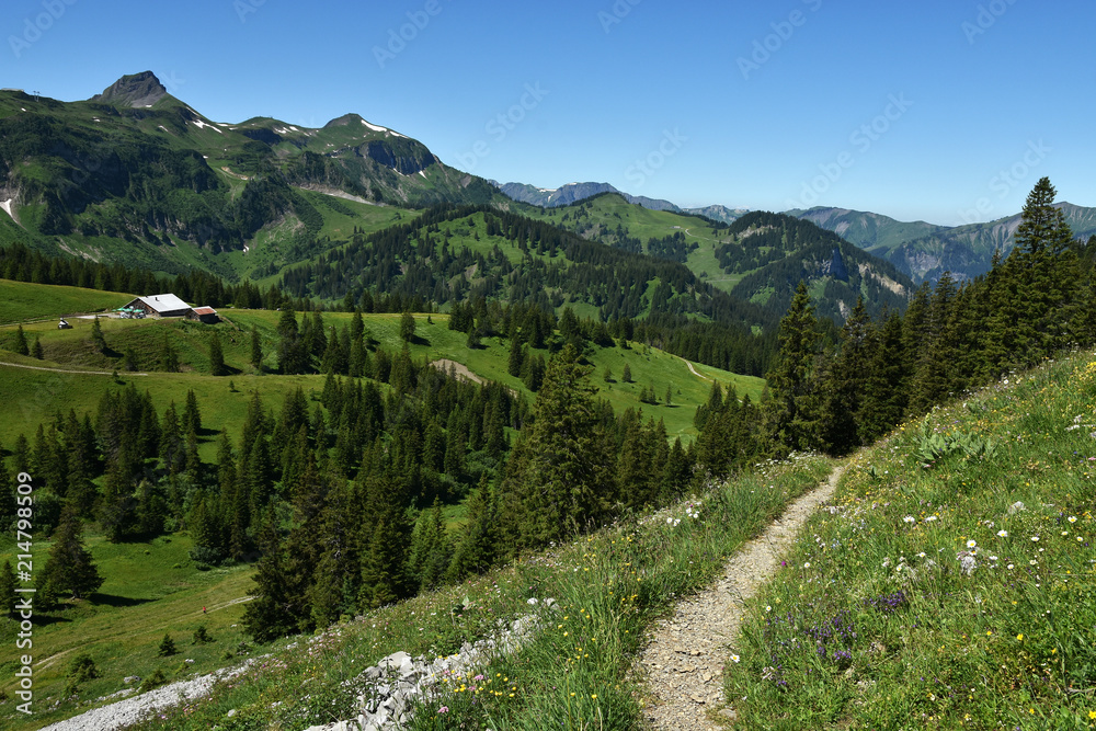 Kanisalpe im Bregenzerwald bei Mellau; Blick zur Wurzachalpe; Damülser Mittagsspitze;