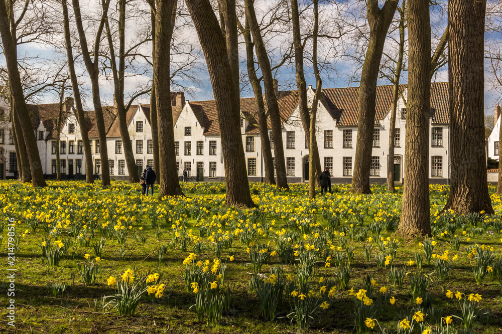 Fototapeta premium Garden of Beguinage at Bruges