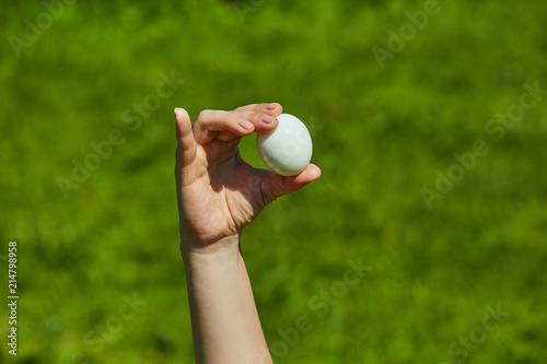 Chicken egg in a female hand against a background of green nature.