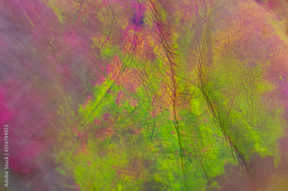 Detail close up of a palm covered in powder paint at Holi festival