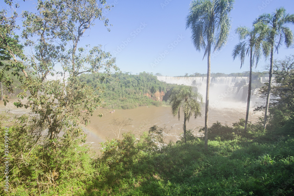 Iguassu National Park - obrazy, fototapety, plakaty 